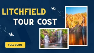 Litchfield National Park Tour Cost 2025 Full Pricing Guide
