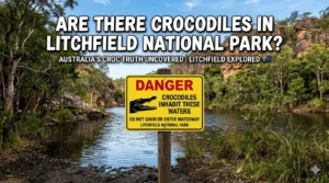 Are There Crocodiles in Litchfield National Park Safety Tips for Visitors